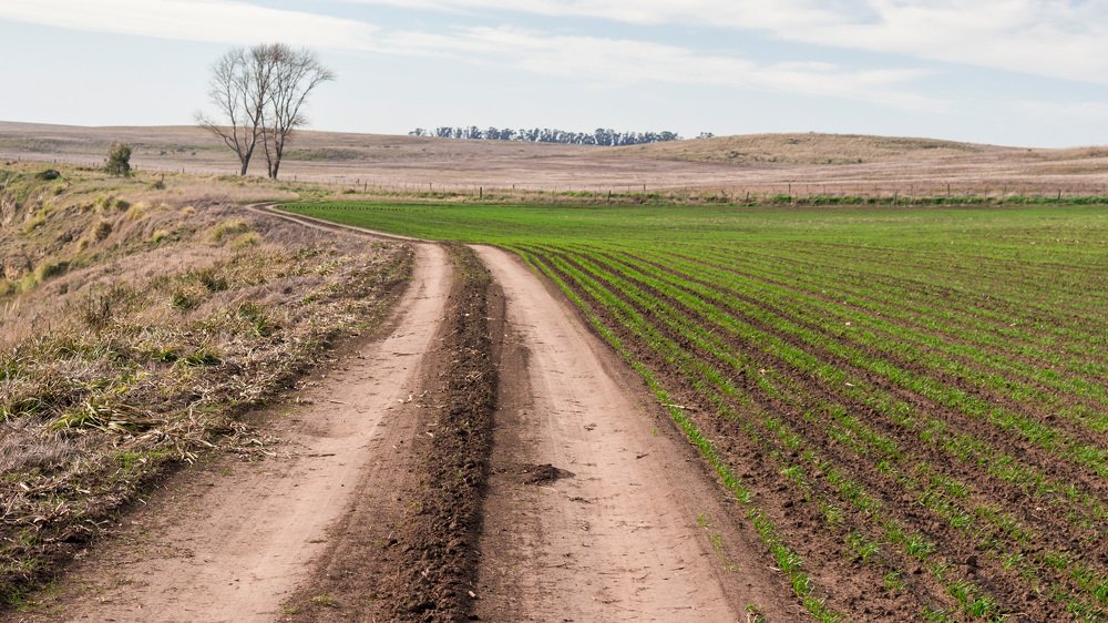 Photograph by Lucia Ana Juárez