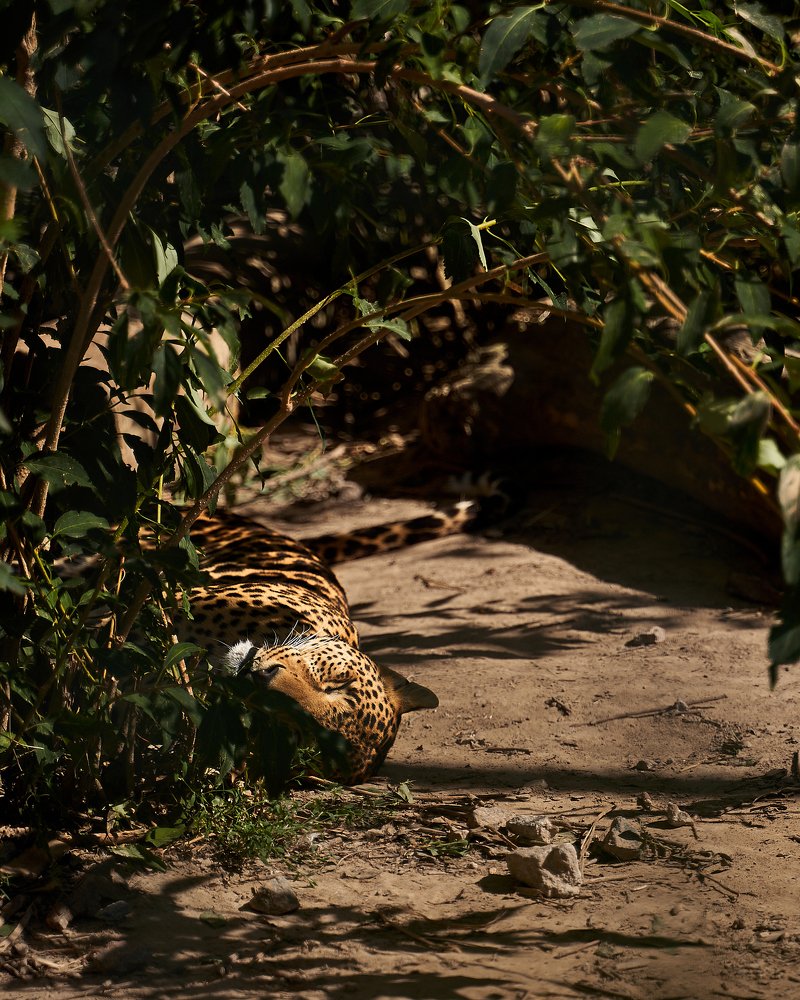 Photograph by Maks Sirman