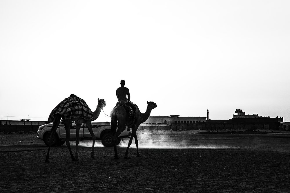 Four Wheels versus Four Legs