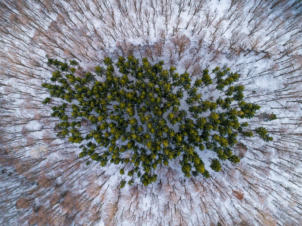 Photograph by Zahari Minchev