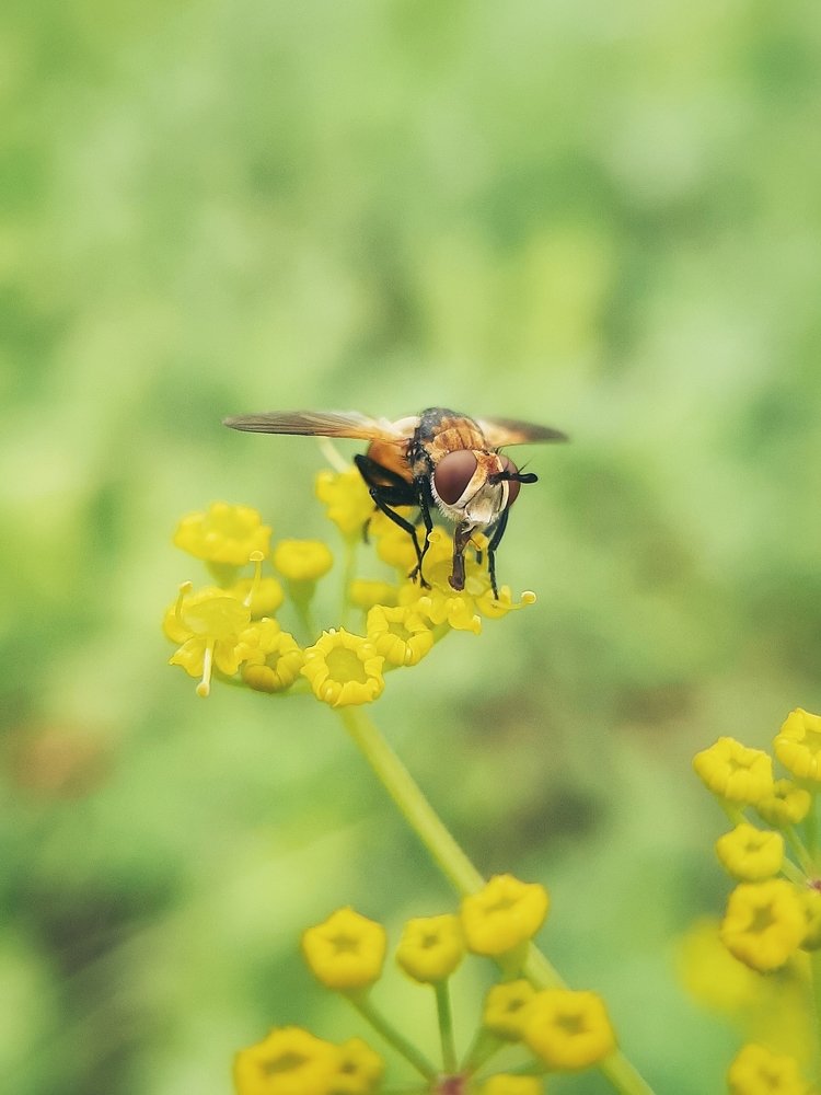 Photograph by Юлия Серазетдинова
