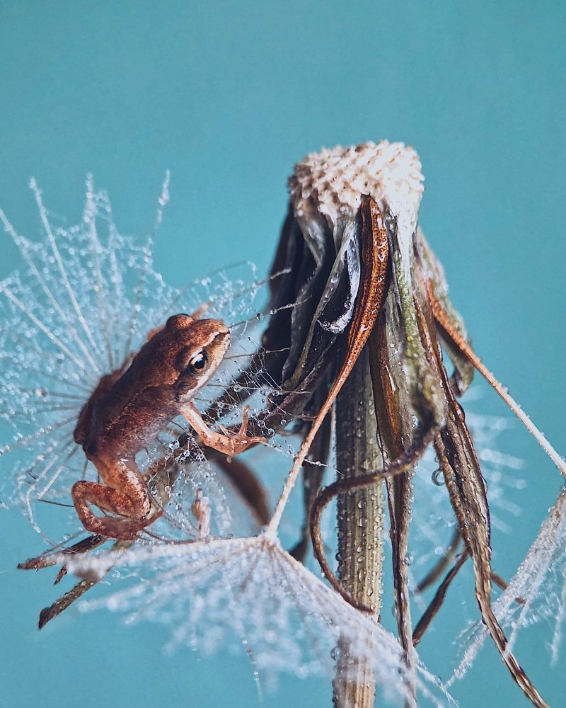 Photograph by Шумилина Марьяна