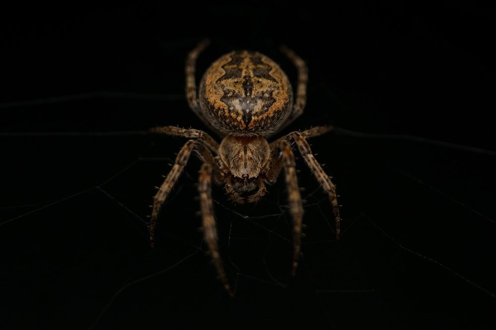 Photograph by Виталий Бодрягин