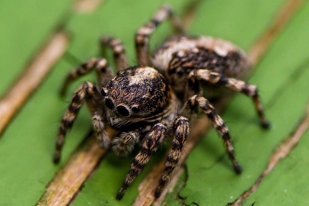 Photograph by Виталий Бодрягин