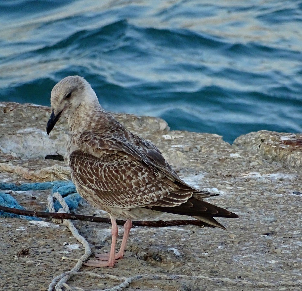 Photograph by Aleksandr Glazyrin