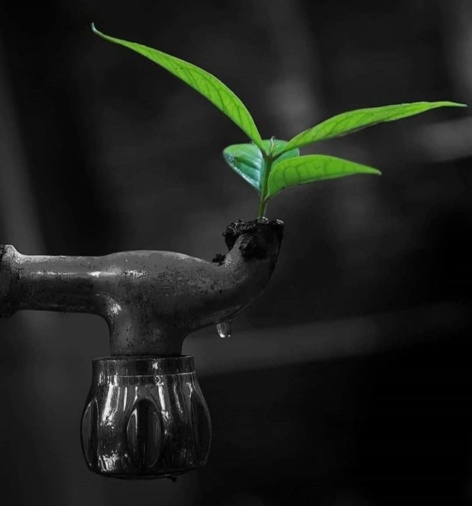 Photograph by Ovi Shouvik Biswas