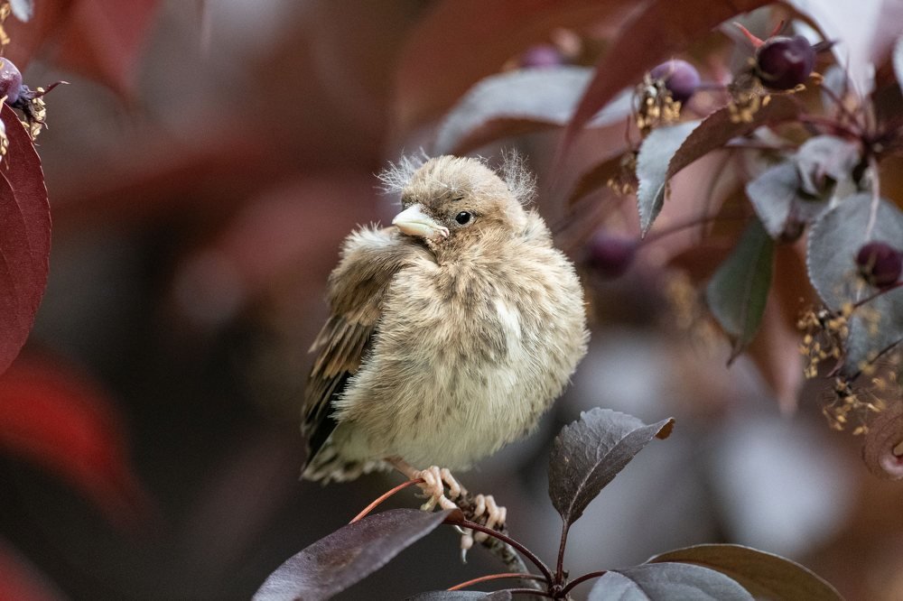 В раздумьях.
