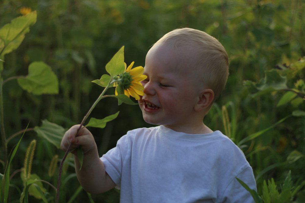 Photograph by Светлана Фёдорова