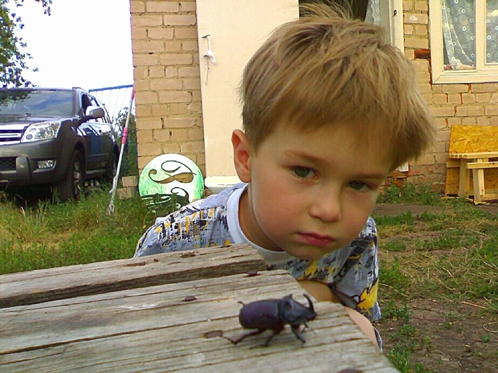Фотография автора Viktor Hromov