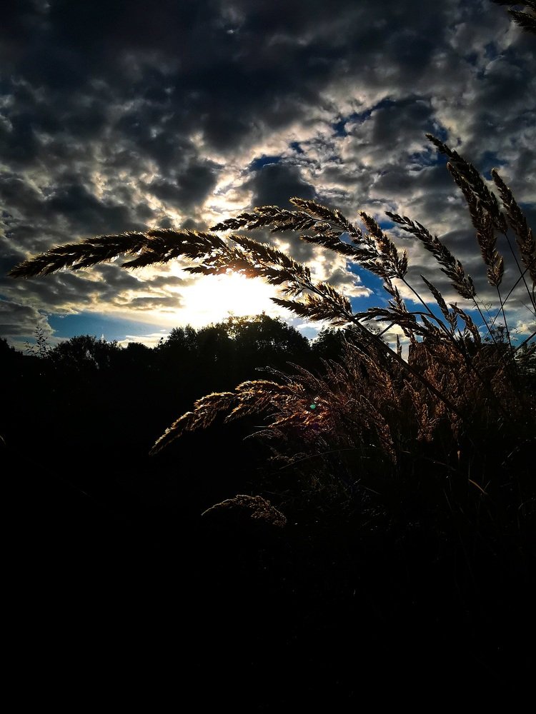 Photograph by Denis Timonin