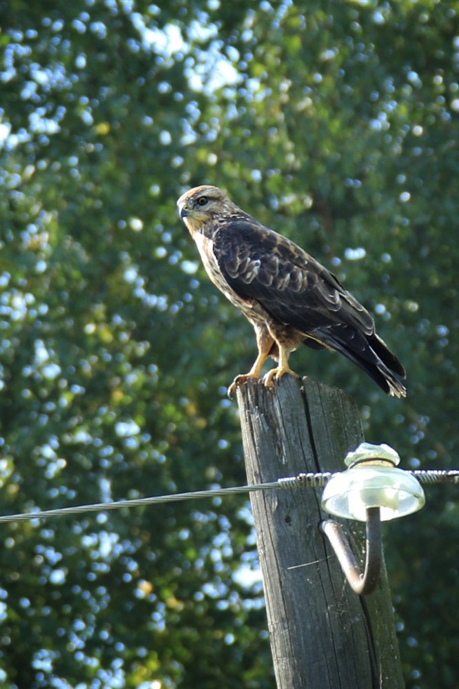 Photograph by Валерий Шорохов