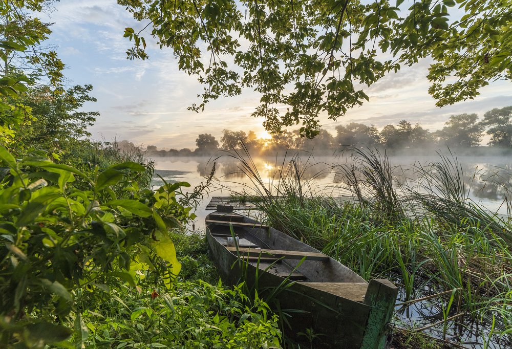 Photograph by Дмитрий Новоселов