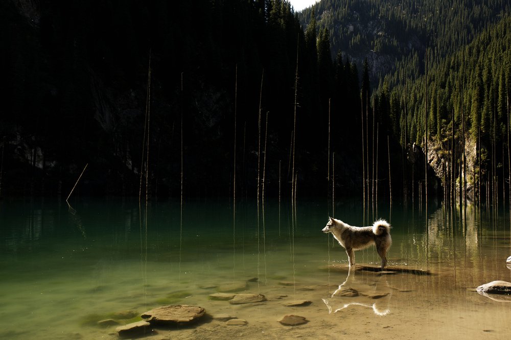 Photograph by Михаил Ионов