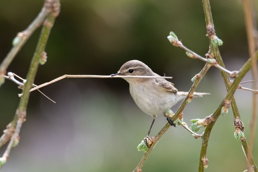 Photograph by Татьяна Дударенко
