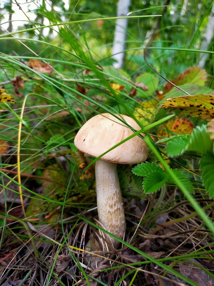 Photograph by Оксана Макарова