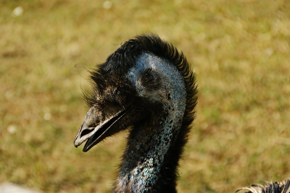 Photograph by Юрий Филицкий