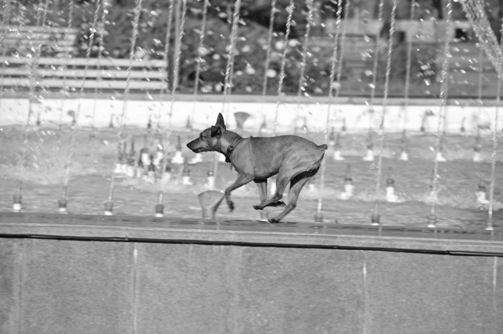 Photograph by Юрий Филицкий