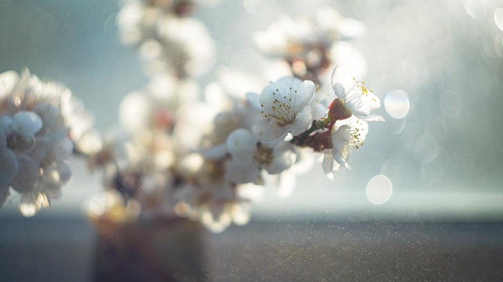 Photograph by Анна Молько