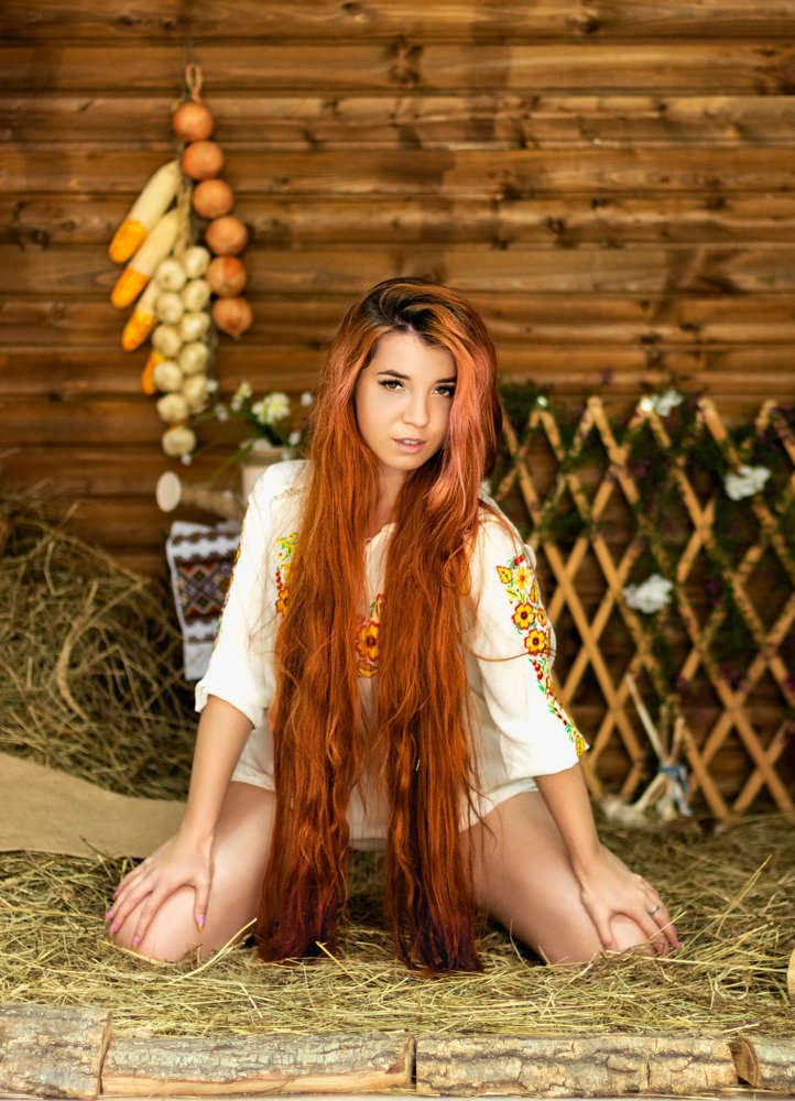 Рыжая лиса на  сеновале