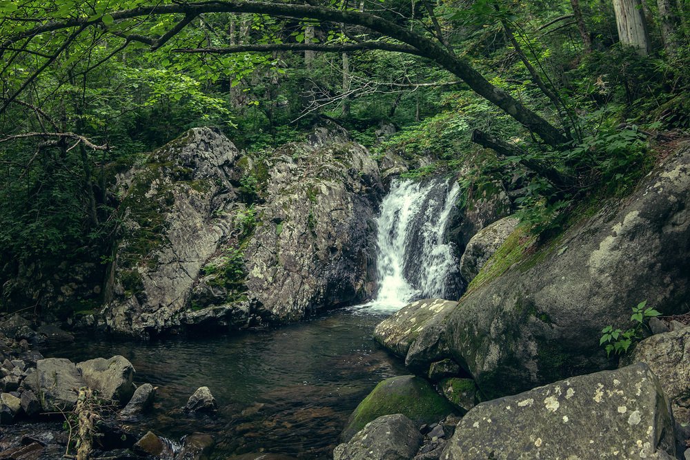 Photograph by Александр Кузнецов