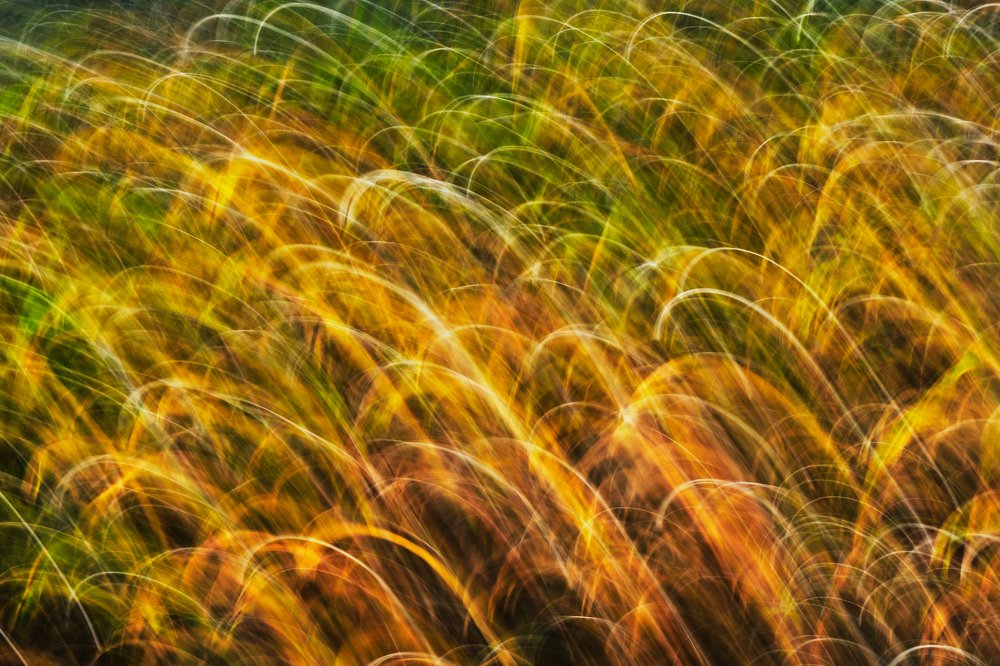 Photograph by Sunny Deshar