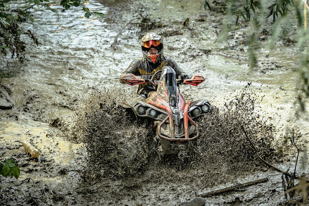 Photograph by Александр Щербаков