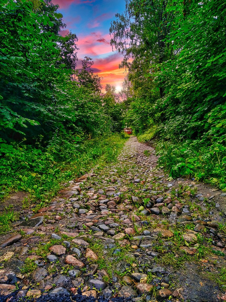 Photograph by Дмитрий Марков