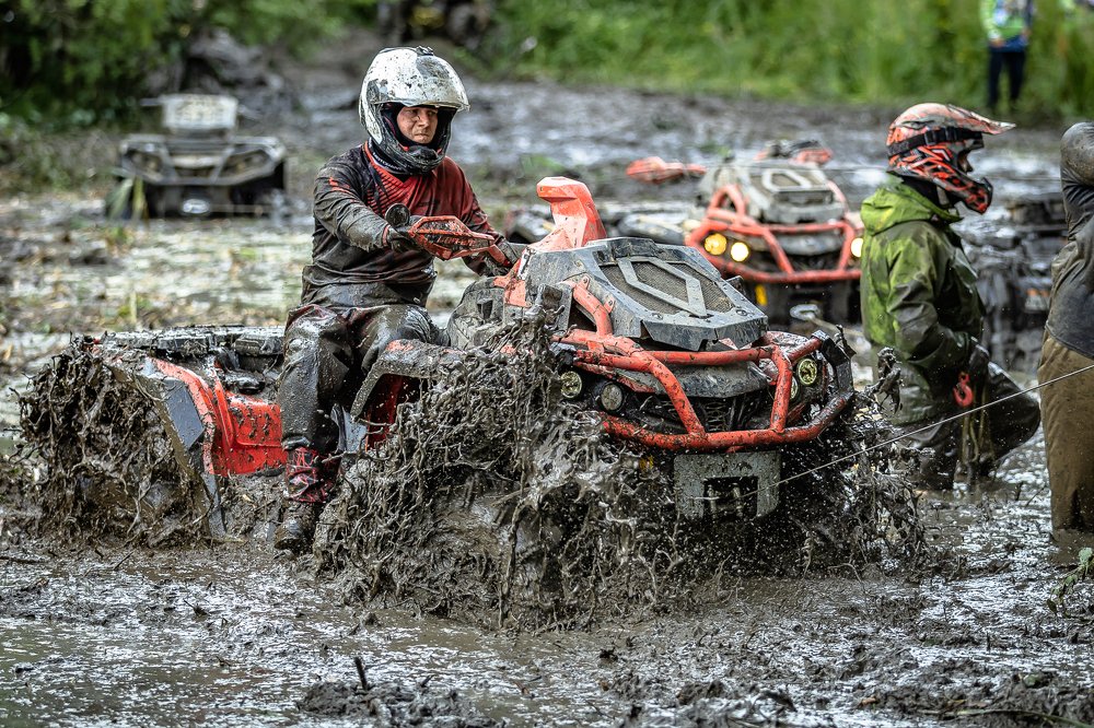 Photograph by Александр Щербаков