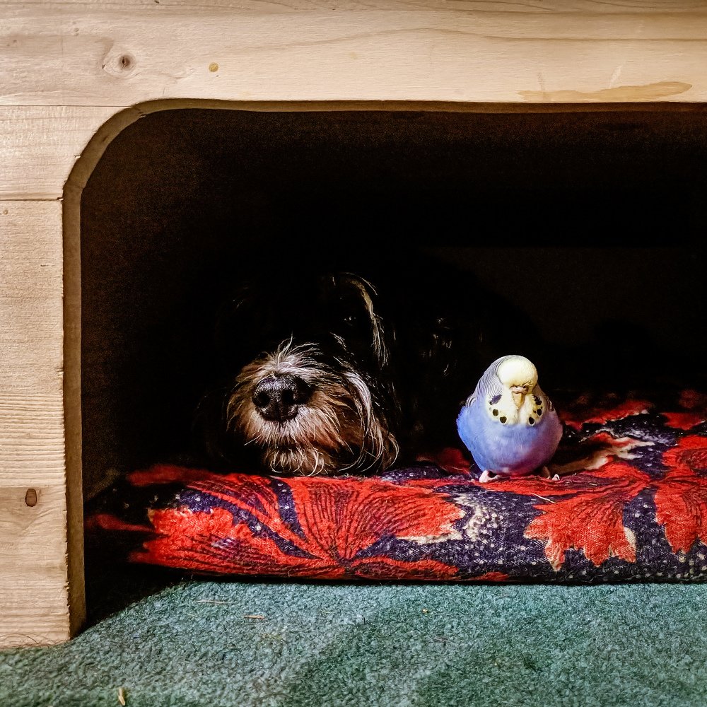 Фотография автора Степан Филев