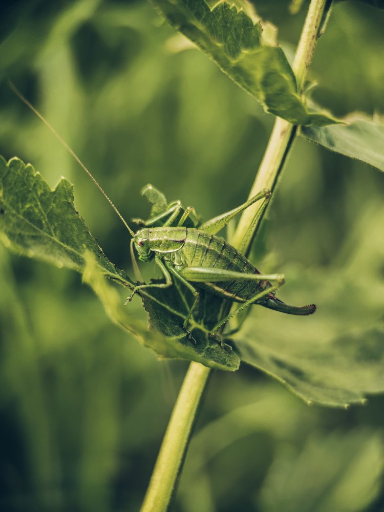 Photograph by Мария Фак