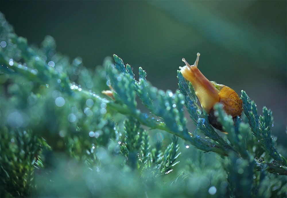 Photograph by Nataliya Mochernyuk