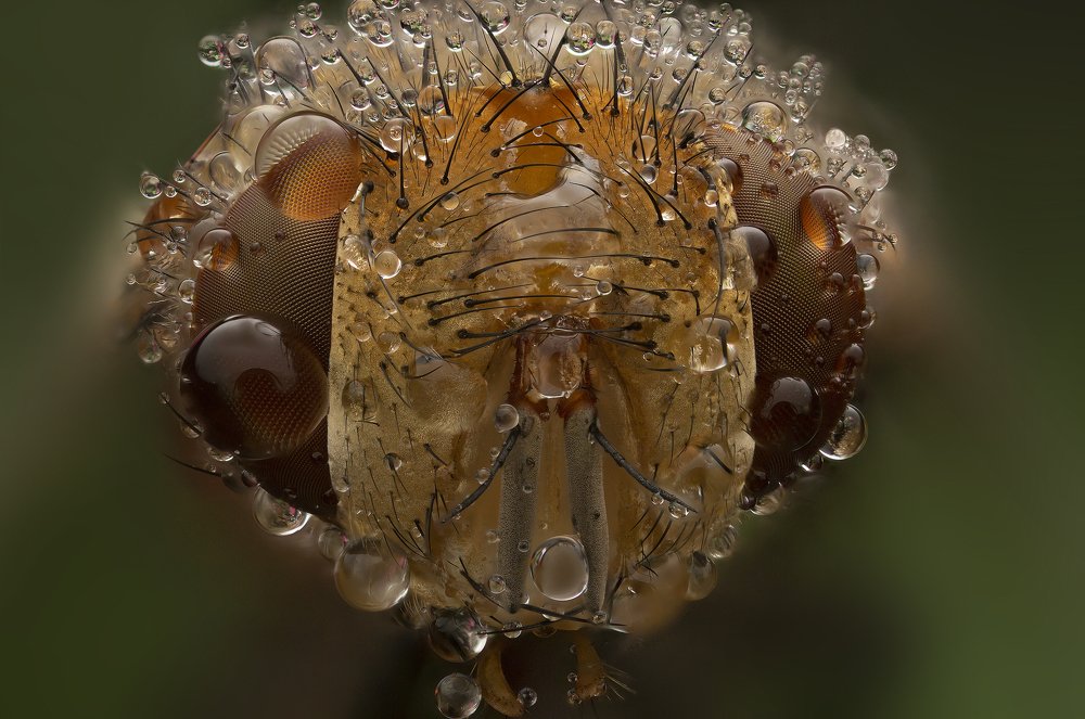 Photograph by Иван Радьков