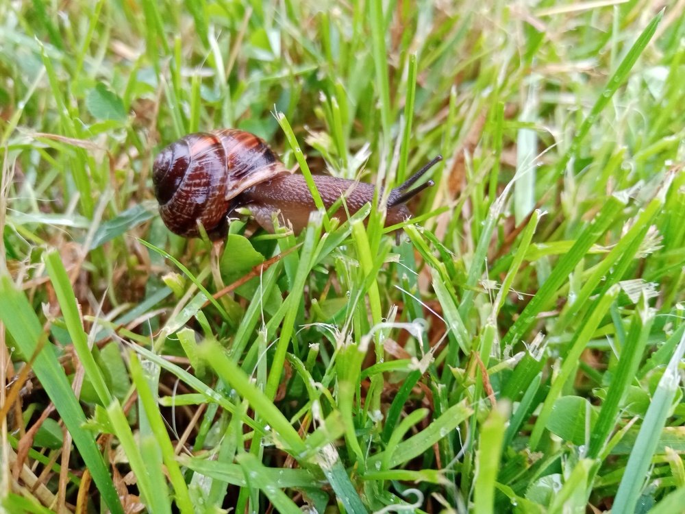 Фотография автора Natalia Khodina