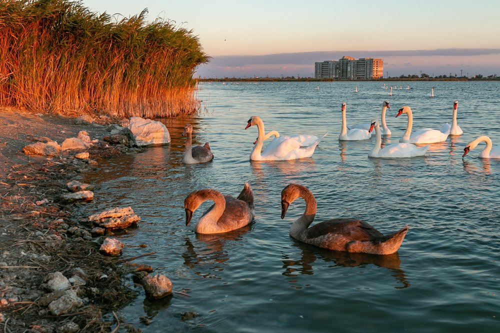 Photograph by Роман Дергунов