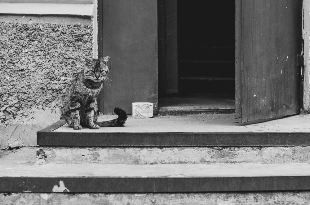 Photograph by Евгений Вознюк