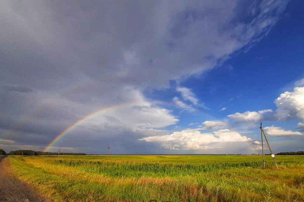 Радуга надежды