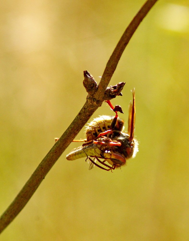 Photograph by Николай Николаевич Леухин
