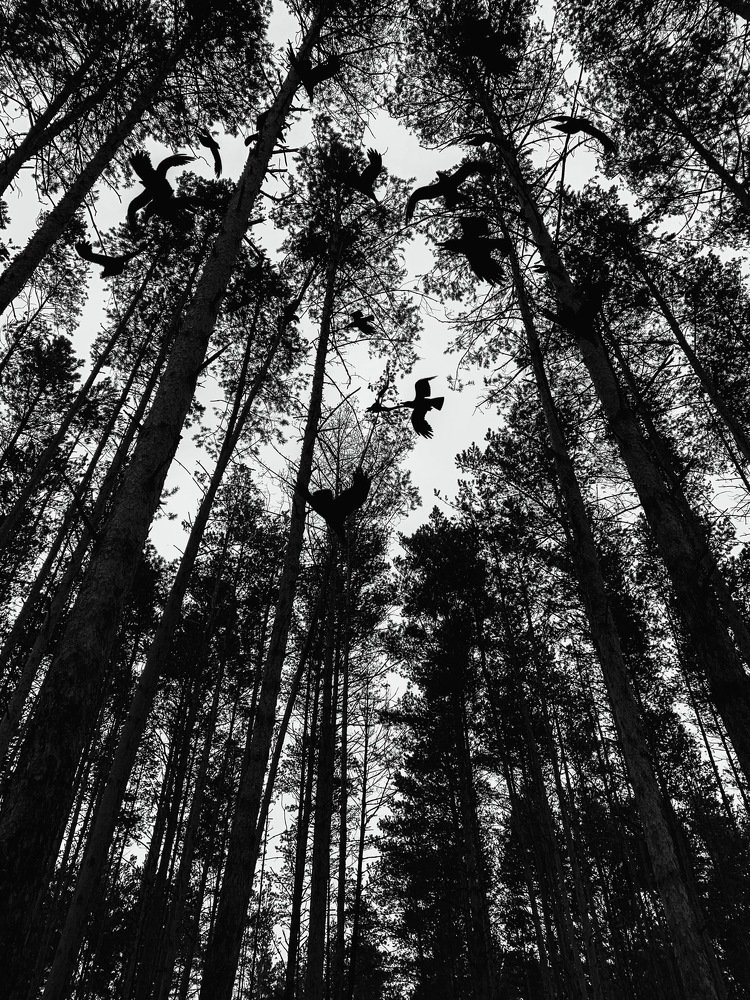 Photograph by Павел Лукин