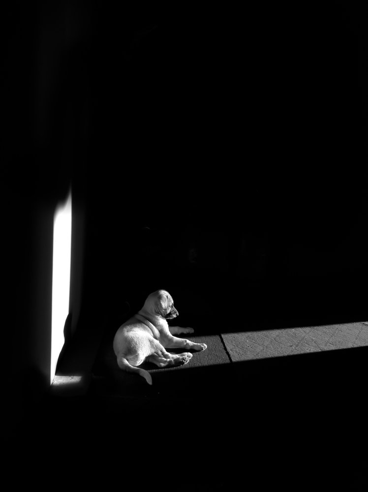 Фотография автора Rudra Prasad Dhungana