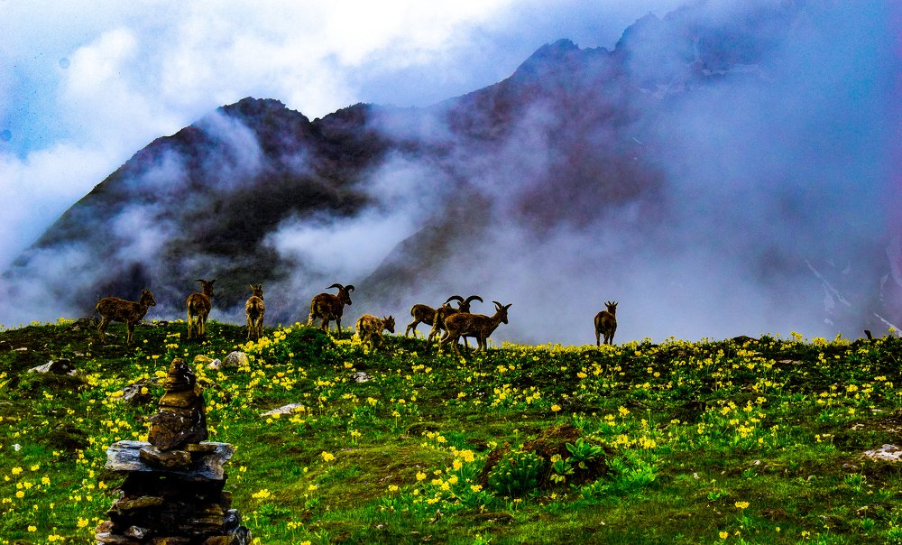 Photograph by Karsang Ugyen
