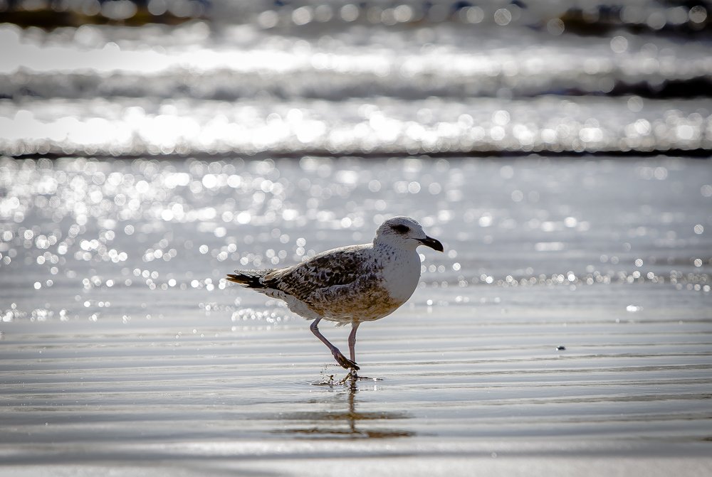 Photograph by Katja Sen