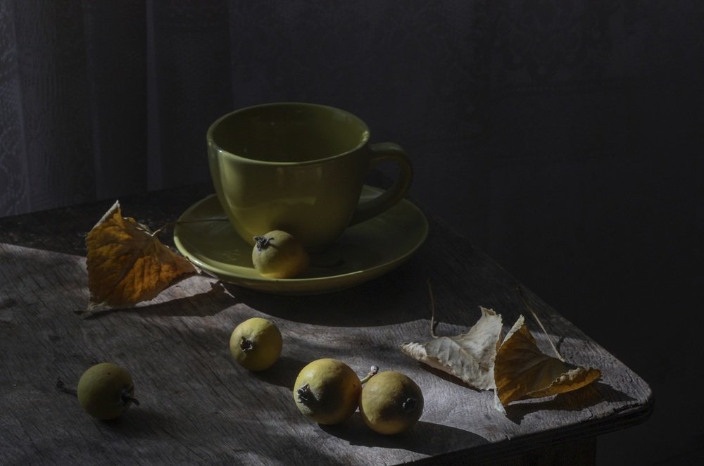 Photograph by Дмитрий Сырбу