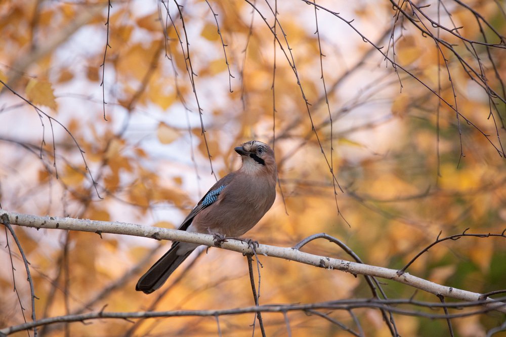 Photograph by Даря Ивушкина