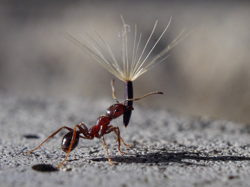 Photograph by Антон Один