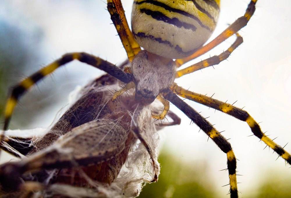 Photograph by Антон Один