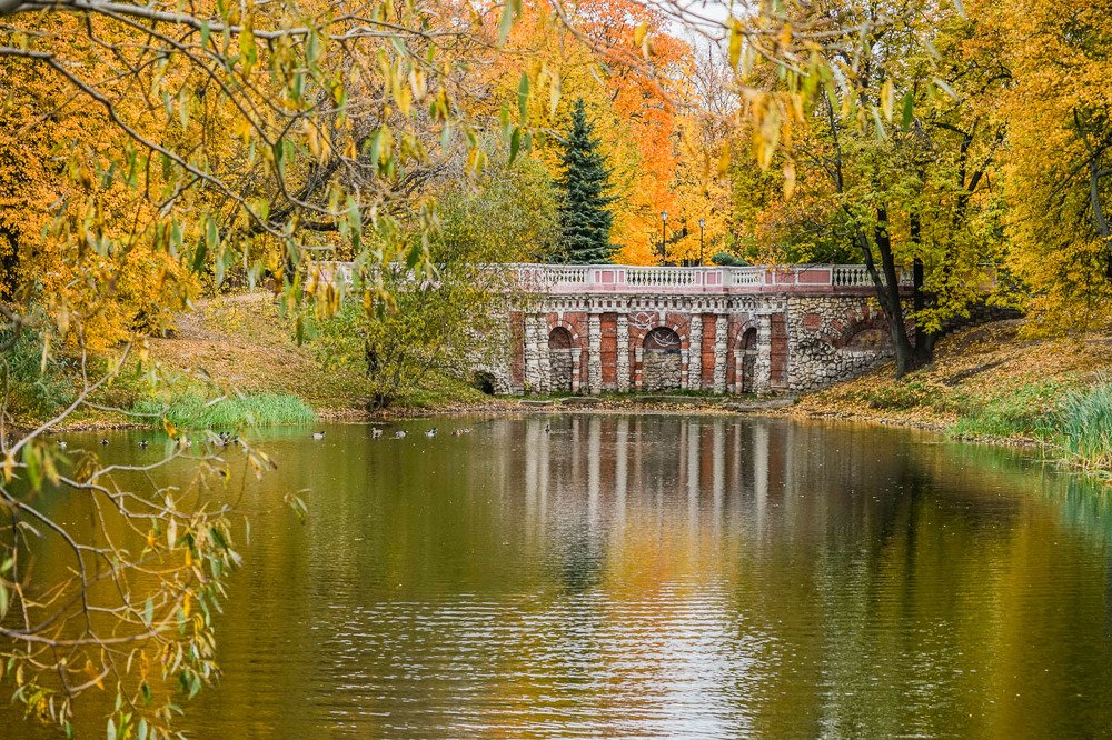 Золотая осень