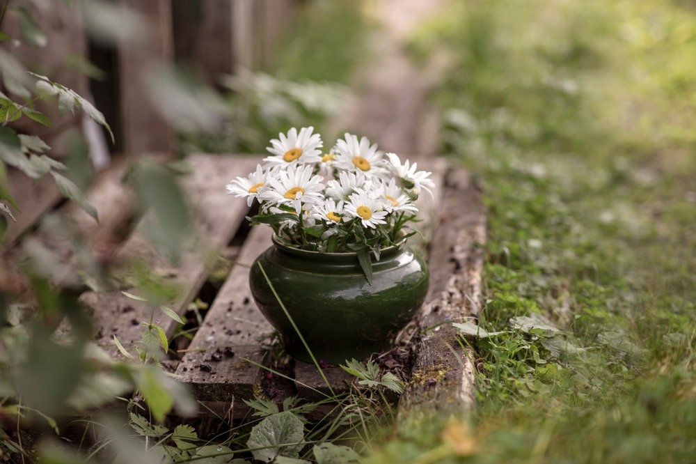 Photograph by Мария Домрачева