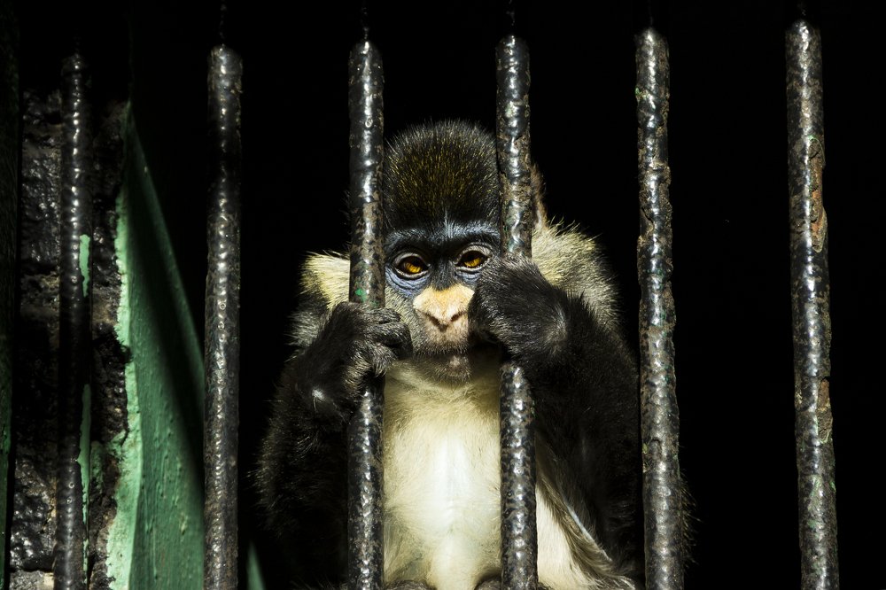 Photograph by mohamed rasta