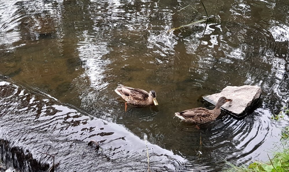 Вода как ртуть