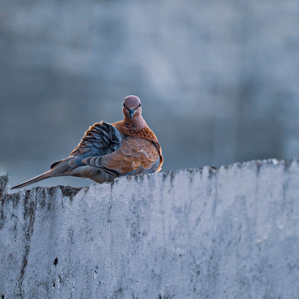 Photograph by Akash Kumar